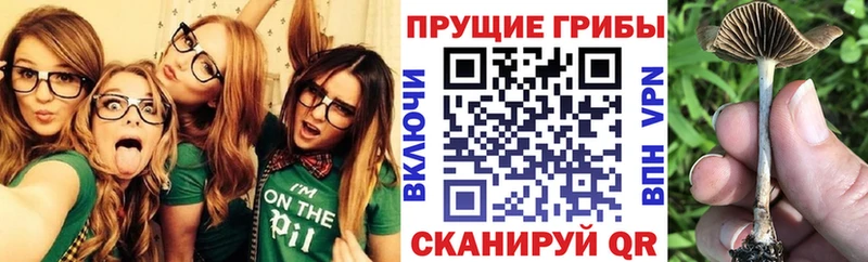 Псилоцибиновые грибы Magic Shrooms  площадка наркотические препараты  Усмань  купить наркотики цена 